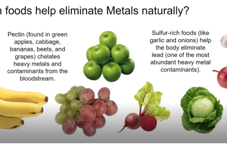 Eliminate Heavy Metals Naturally in Lauderhill